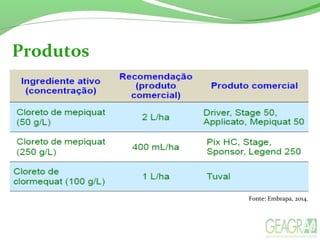 Produtos
Fonte: Embrapa, 2014.
 