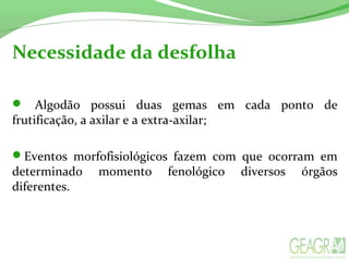 Necessidade da desfolha
 Algodão possui duas gemas em cada ponto de
frutificação, a axilar e a extra-axilar;
Eventos morfofisiológicos fazem com que ocorram em
determinado momento fenológico diversos órgãos
diferentes.
 