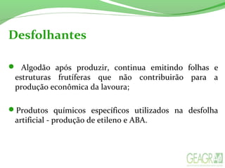 Desfolhantes
 Algodão após produzir, continua emitindo folhas e
estruturas frutíferas que não contribuirão para a
produção econômica da lavoura;
Produtos químicos específicos utilizados na desfolha
artificial - produção de etileno e ABA.
 