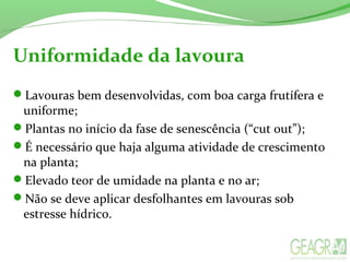 Uniformidade da lavoura
Lavouras bem desenvolvidas, com boa carga frutífera e
uniforme;
Plantas no início da fase de senescência (“cut out”);
É necessário que haja alguma atividade de crescimento
na planta;
Elevado teor de umidade na planta e no ar;
Não se deve aplicar desfolhantes em lavouras sob
estresse hídrico.
 