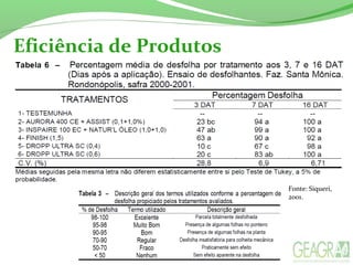 Eficiência de Produtos
Fonte: Siqueri,
2001.
 
