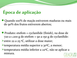 Época de aplicação
Quando 100% de maçãs estiverem maduras ou mais
de 90% dos frutos estiverem abertos;
Produto: etefom + cyclanilide (finish), na dose de
720 a 1.200 g de etefom + 90 a 150 g de cyclanilide:
entre 22 a 25 ºC, utilizar a dose maior;
temperatura média superior a 30ºC, a menor;
temperatura média inferior a 22ºC, não se aplicar a
mistura.
 