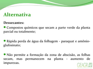 Alternativa
Dessecantes:
Compostos químicos que secam a parte verde da planta
parcial ou totalmente;
Rápida perda de água da folhagem - paraquat e amônio-
glufosinato;
Não permite a formação da zona de abscisão, as folhas
secam, mas permanecem na planta - aumento de
impurezas.
 