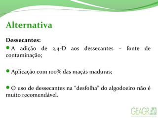 Alternativa
Dessecantes:
A adição de 2,4-D aos dessecantes – fonte de
contaminação;
Aplicação com 100% das maçãs maduras;
O uso de dessecantes na “desfolha” do algodoeiro não é
muito recomendável.
 