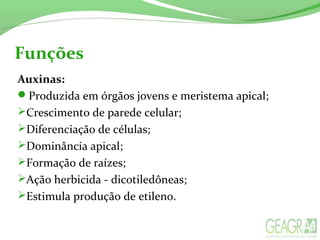 Funções
Auxinas:
Produzida em órgãos jovens e meristema apical;
Crescimento de parede celular;
Diferenciação de células;
Dominância apical;
Formação de raízes;
Ação herbicida - dicotiledôneas;
Estimula produção de etileno.
 