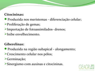 Citocininas:
Produzida nos meristemas - diferenciação celular;
Proliferação de gemas;
Importação de fotoassimilados- drenos;
Inibe envelhecimento.
Giberelinas:
Produzida na região subapical - alongamento;
Crescimento celular nos pólos;
Germinação;
Sinergismo com auxinas e citocininas.
 