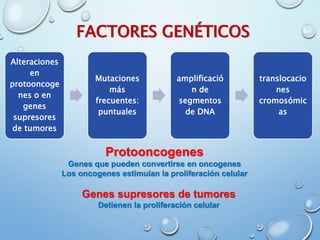 FACTORES GENÉTICOS
Protooncogenes
Genes que pueden convertirse en oncogenes
Los oncogenes estimulan la proliferación celular
Genes supresores de tumores
Detienen la proliferación celular
Alteraciones
en
protooncoge
nes o en
genes
supresores
de tumores
Mutaciones
más
frecuentes:
puntuales
amplificació
n de
segmentos
de DNA
translocacio
nes
cromosómic
as
 