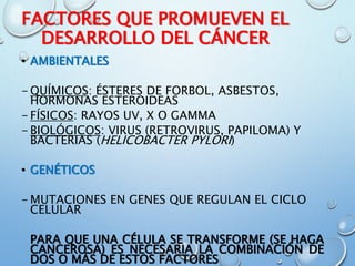 FACTORES QUE PROMUEVEN EL
DESARROLLO DEL CÁNCER
• AMBIENTALES
- QUÍMICOS: ÉSTERES DE FORBOL, ASBESTOS,
HORMONAS ESTEROIDEAS
- FÍSICOS: RAYOS UV, X O GAMMA
- BIOLÓGICOS: VIRUS (RETROVIRUS, PAPILOMA) Y
BACTERIAS (HELICOBACTER PYLORI)
• GENÉTICOS
- MUTACIONES EN GENES QUE REGULAN EL CICLO
CELULAR
PARA QUE UNA CÉLULA SE TRANSFORME (SE HAGA
CANCEROSA) ES NECESARIA LA COMBINACIÓN DE
DOS O MÁS DE ESTOS FACTORES
 