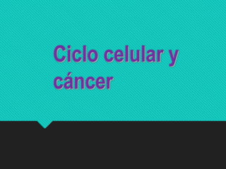 Ciclo celular y
cáncer
 