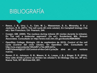 BIBLIOGRAFÍA
• Reece, J. B., Urry, L. A., Cain, M. L., Wasserman, S. A., Minorsky, P. V. y
Jackson, R. B. (2011). The cell cycle (El ciclo celular). En Campbell biology (10a
ed.). San Francisco, CA: Pearson, 244.
• Cooper, GM. (2000). The nucleus during mitosis (El núcleo durante la mitosis).
En The cell: a molecular approach. (2a ed.). Sunderland, MA: Sinauer
Associates. Consultado en http://www.ncbi.nlm.nih.gov/books/NBK9890/.
• OpenStax College, Biología. (29 de septiembre de 2015). Control of the cell
cycle (Control del ciclo celular). En OpenStax CNX. Consultado en
http://cnx.org/contents/185cbf87-c72e-48f5-b51e-
f14f21b5eabd@9,87:53/Control-of-the-Cell-Cycle(Se abre en una ventana
nueva).
• Raven, P. H., Johnson, G. B., Mason, K. A., Losos, J. B. y Singer, S. R. (2014).
How cells divide (¿Cómo se dividen las células?). En Biology (10a ed., AP ed.).
Nueva York, NY: McGraw-Hill, 201.
 