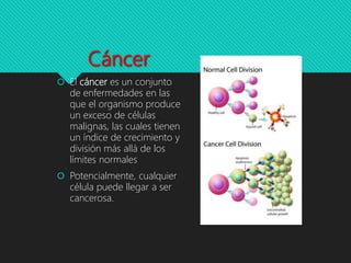 Cáncer
 El cáncer es un conjunto
de enfermedades en las
que el organismo produce
un exceso de células
malignas, las cuales tienen
un índice de crecimiento y
división más allá de los
límites normales
 Potencialmente, cualquier
célula puede llegar a ser
cancerosa.
 