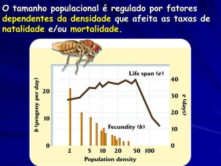 O tamanho populacional é regulado por fatores
dependentes da densidade que afeita as taxas de
natalidade e/ou mortalidade.
 