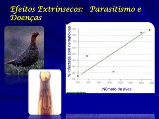 Efeitos Extrínsecos: Parasitismo e
Doenças




              % infectada com nematóides




                                           Número de aves
 