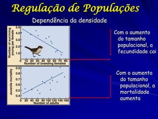 Regulação de Populações
   Dependência da densidade
                              Com o aumento
                               do tamanho
                               populacional, a
                               fecundidade cai



                              Com o aumento
                               do tamanho
                               populacional, a
                               mortalidade
                               aumenta
 
