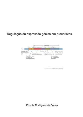 Regulação da expressão gênica em procariotos




             Priscila Rodrigues de Souza
 