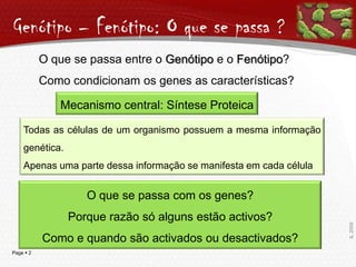 Genótipo – Fenótipo: O que se passa ?O que se passa entre o Genótipoe o Fenótipo?Como condicionam os genes as características?Mecanismo central: Síntese ProteicaTodas as células de um organismo possuem a mesma informação genética.Apenas uma parte dessa informação se manifesta em cada célulaO que se passa com os genes?Porque razão só alguns estão activos?Como e quando são activados ou desactivados?IL 2009