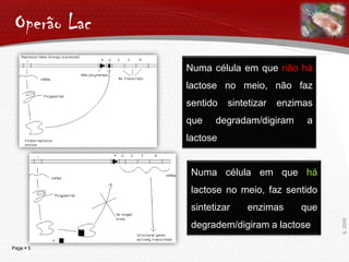  Funcionam em conjunto como uma unidadeIL 2009