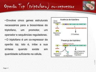Gene Operador – gene onde se pode ligar o repressor (para impedir a transcrição* dos genes estruturais)