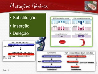 Operão LacNuma célula em que não há lactose no meio, não faz sentido sintetizar enzimas que degradam/digiram a lactose Numa célula em que há lactose no meio, faz sentido sintetizar enzimas que degradem/digiram a lactoseIL 2009