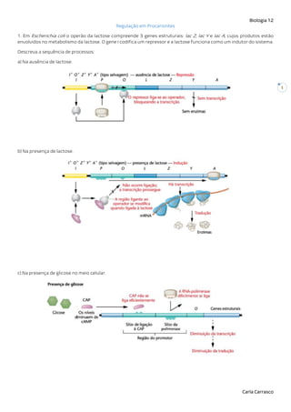 Biologia 12
Carla Carrasco
1
Regulação em Procariontes
1. Em Escherichia coli o operão da lactose compreende 3 genes estruturais: lac Z, lac Y e lac A, cujos produtos estão
envolvidos no metabolismo da lactose. O gene I codifica um repressor e a lactose funciona como um indutor do sistema.
Descreva a sequência de processos:
a) Na ausência de lactose.
b) Na presença de lactose.
c) Na presença de glicose no meio celular.
 