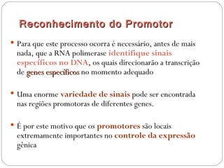 Reconhecimento do P romotor
 Para que este processo ocorra é necessário, antes de mais
  nada, que a RNA polimerase identifique sinais
  específicos no DNA, os quais direcionarão a transcrição
  de genes específicos no momento adequado

 Uma enorme variedade de sinais pode ser encontrada
  nas regiões promotoras de diferentes genes.

 É por este motivo que os promotores são locais
  extremamente importantes no controle da expressão
  gênica
 