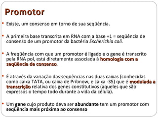 Promotor
 Existe, um consenso em torno de sua seqüência.

 A primeira base transcrita em RNA com a base +1 = seqüência de
  consenso de um promotor da bactéria Escherichia coli.

 A freqüência com que um promotor é ligado e o gene é transcrito
  pela RNA pol, está diretamente associada à homologia com a
  seqüência de consenso.
                consenso

 É através da variação das seqüências nas duas caixas (conhecidas
  como caixa TATA, ou caixa de Pribnow, e caixa -35) que é modulada a
  transcrição relativa dos genes constitutivos (aqueles que são
  expressos o tempo todo durante a vida da célula).

 Um gene cujo produto deva ser abundante tem um promotor com
  seqüência mais próxima ao consenso
 