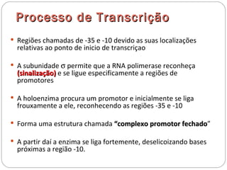 Processo de T ranscrição
 Regiões chamadas de -35 e -10 devido as suas localizações
  relativas ao ponto de inicio de transcriçao

 A subunidade σ permite que a RNA polimerase reconheça
  (sinalização) e se ligue especificamente a regiões de
  promotores

 A holoenzima procura um promotor e inicialmente se liga
  frouxamente a ele, reconhecendo as regiões -35 e -10

 Forma uma estrutura chamada “complexo promotor fechado”
                                                 fechado

 A partir daí a enzima se liga fortemente, deselicoizando bases
  próximas a região -10.
 