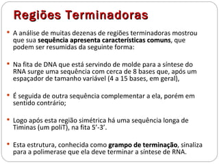 Regiões Terminadoras
 A análise de muitas dezenas de regiões terminadoras mostrou
  que sua sequência apresenta características comuns, que
                                              comuns
  podem ser resumidas da seguinte forma:

 Na fita de DNA que está servindo de molde para a síntese do
  RNA surge uma sequência com cerca de 8 bases que, após um
  espaçador de tamanho variável (4 a 15 bases, em geral),

 É seguida de outra sequência complementar a ela, porém em
  sentido contrário;

 Logo após esta região simétrica há uma sequência longa de
  Timinas (um poliT), na fita 5’-3’.

 Esta estrutura, conhecida como grampo de terminação, sinaliza
                                           terminação
  para a polimerase que ela deve terminar a síntese de RNA.
 