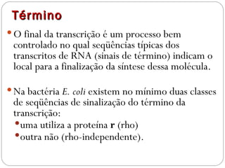 Término
 O final da transcrição é um processo bem
 controlado no qual seqüências típicas dos
 transcritos de RNA (sinais de término) indicam o
 local para a finalização da síntese dessa molécula. 

 Na bactéria E. coli existem no mínimo duas classes
 de seqüências de sinalização do término da
 transcrição:
  uma utiliza a proteína r (rho)
  outra não (rho-independente). 
 