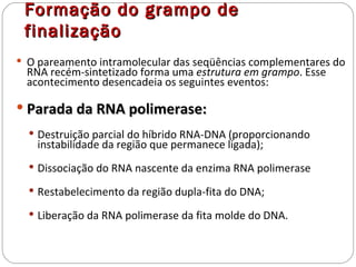 Formação do grampo de
 finalização
 O pareamento intramolecular das seqüências complementares do
  RNA recém-sintetizado forma uma estrutura em grampo. Esse
  acontecimento desencadeia os seguintes eventos:

 Parada da RNA polimerase:
   Destruição parcial do híbrido RNA-DNA (proporcionando
    instabilidade da região que permanece ligada);
   Dissociação do RNA nascente da enzima RNA polimerase

   Restabelecimento da região dupla-fita do DNA;

   Liberação da RNA polimerase da fita molde do DNA.
 