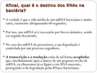 Afinal, qual é o destino dos RNAs na
  bactéria?
 A verdade é que a vida média de um mRNA bacteriano é muito
  curta, raramente ultrapassando 60 segundos;

 Por isso, um mRNA só é necessário por breves instantes, sendo
  em seguida descartado.

 No caso dos mRNA de procariotos, a sua degradação é
  controlada por um processo engenhoso.

 A transcrição e a tradução estão de tal forma acopladas
  que, imediatamente após a síntese de um pequeno trecho de
  mRNA, os ribossomos já se ligam a este RNA nascente,
  protegendo-o da degradação pelas RNases bacterianas.
 