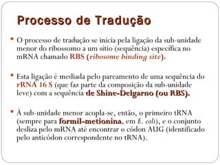 Processo de Tradução
 O processo de tradução se inicia pela ligação da sub-unidade
  menor do ribossomo a um sítio (sequência) específica no
  mRNA chamado RBS (ribosome binding site).

 Esta ligação é mediada pelo pareamento de uma sequência do
  rRNA 16 S (que faz parte da composição da sub-unidade
  leve) com a sequência de Shine-Delgarno (ou RBS).

 À sub-unidade menor acopla-se, então, o primeiro tRNA
  (sempre para formil-metionina, em E. coli), e o conjunto
                formil-metionina
  desliza pelo mRNA até encontrar o códon AUG (identificado
  pelo anticódon correspondente no tRNA).
 