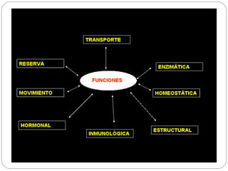 Regulação e expressão gênica bacteriana