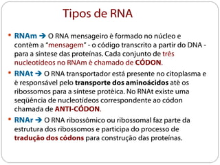 Tipos de RNA
 RNAm  O RNA mensageiro é formado no núcleo e
 contém a “mensagem” - o código transcrito a partir do DNA -
 para a síntese das proteínas. Cada conjunto de três
 nucleotídeos no RNAm é chamado de CÓDON.
 RNAt  O RNA transportador está presente no citoplasma e
 é responsável pelo transporte dos aminoácidos até os
 ribossomos para a síntese protéica. No RNAt existe uma
 seqüência de nucleotídeos correspondente ao códon
 chamada de ANTI-CÓDON.
 RNAr  O RNA ribossômico ou ribossomal faz parte da
 estrutura dos ribossomos e participa do processo de
 tradução dos códons para construção das proteínas.
 