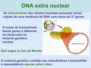 .
DNA extra nuclear
As mitocôndrias das células humanas possuem várias
cópias de uma molécula de DNA com cerca de 37 genes
O modo de transmissão
desse genes é diferente
do observado no
material genético
nuclear.
O material genético contido nas mitocôndrias é transmitido
à descendência apenas pelas mães.
Não segue as leis de Mendel
 