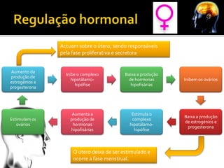 Actuam sobre o útero, sendo responsáveis
                pela fase proliferativa e secretora


Aumento da
                  Inibe o complexo         Baixa a produção
produção de
                     hipotálamo-            de hormonas       Inibem os ovários
estrogénios e
                       hipófise              hipofisárias
progesterona




                     Aumenta a                Estimula o
                                                              Baixa a produção
Estimulam os        produção de               complexo
                                                              de estrogénios e
   ovários           hormonas                hipotálamo-
                                                               progesterona
                    hipofisárias               hipófise



                     O útero deixa de ser estimulado e
                     ocorre a fase menstrual.
 