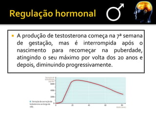    A produção de testosterona começa na 7ª semana
    de gestação, mas é interrompida após o
    nascimento para recomeçar na puberdade,
    atingindo o seu máximo por volta dos 20 anos e
    depois, diminuindo progressivamente.
 