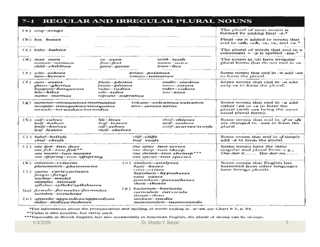 regular-and-irregular-plural-nouns-pdf