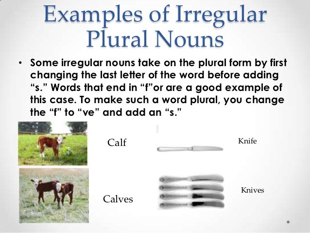 Regular and Irregular plural nouns!