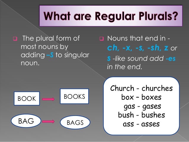 Regular and irregular plural nouns