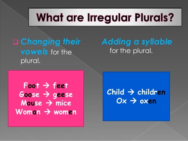 Regular And Irregular Plural Nouns