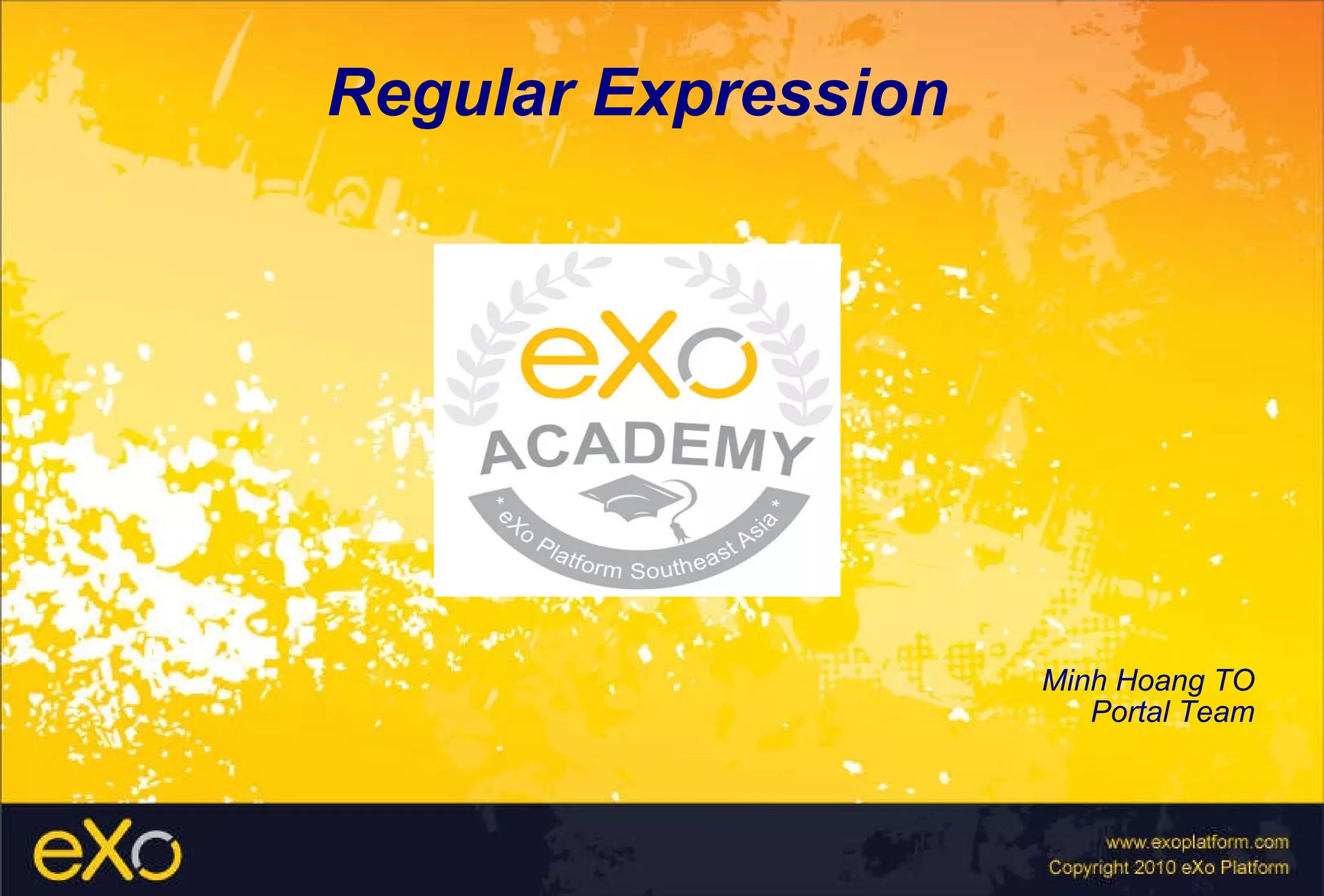 Regular Expression Minh Hoang TO Portal Team 