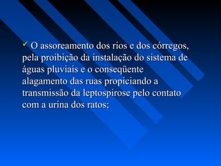   O assoreamento dos rios e dos córregos,
pela proibição da instalação do sistema de
águas pluviais e o conseqüente
alagamento das ruas propiciando a
transmissão da leptospirose pelo contato
com a urina dos ratos;
 