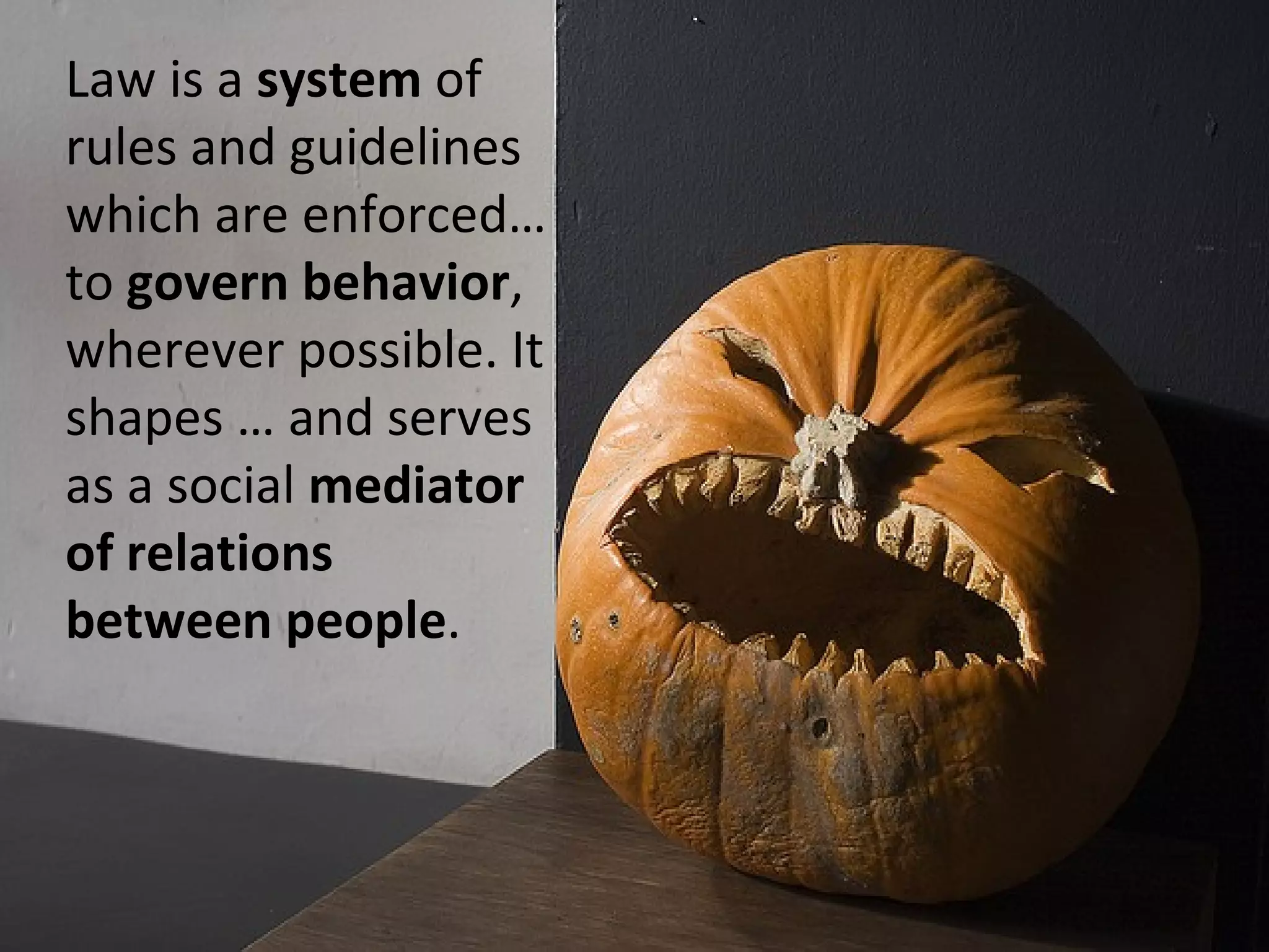 Law is a system of
rules and guidelines
which are enforced…
to govern behavior,
wherever possible. It
shapes … and serves
as a social mediator
of relations
between people.
 