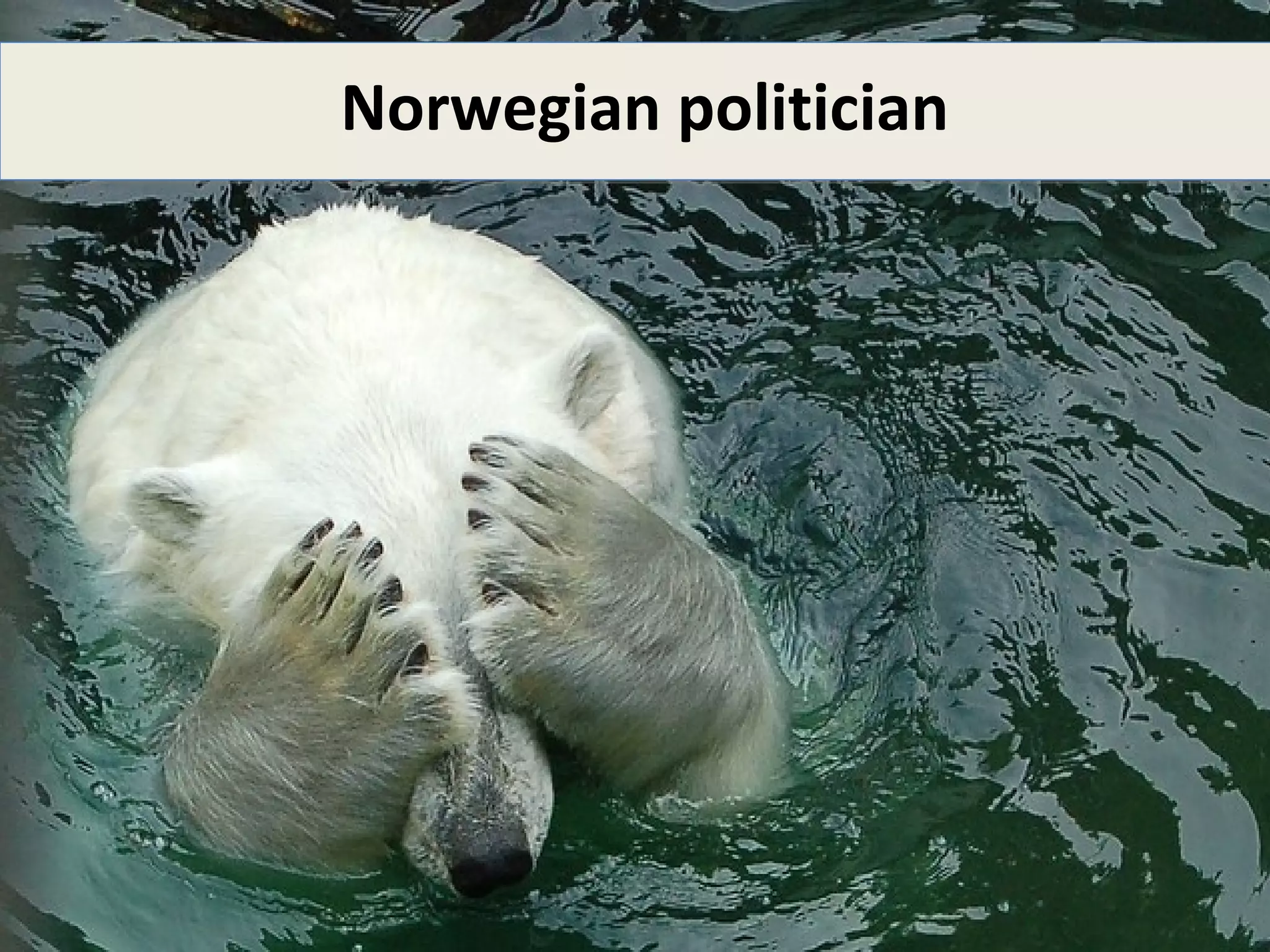 Norwegian politician
 