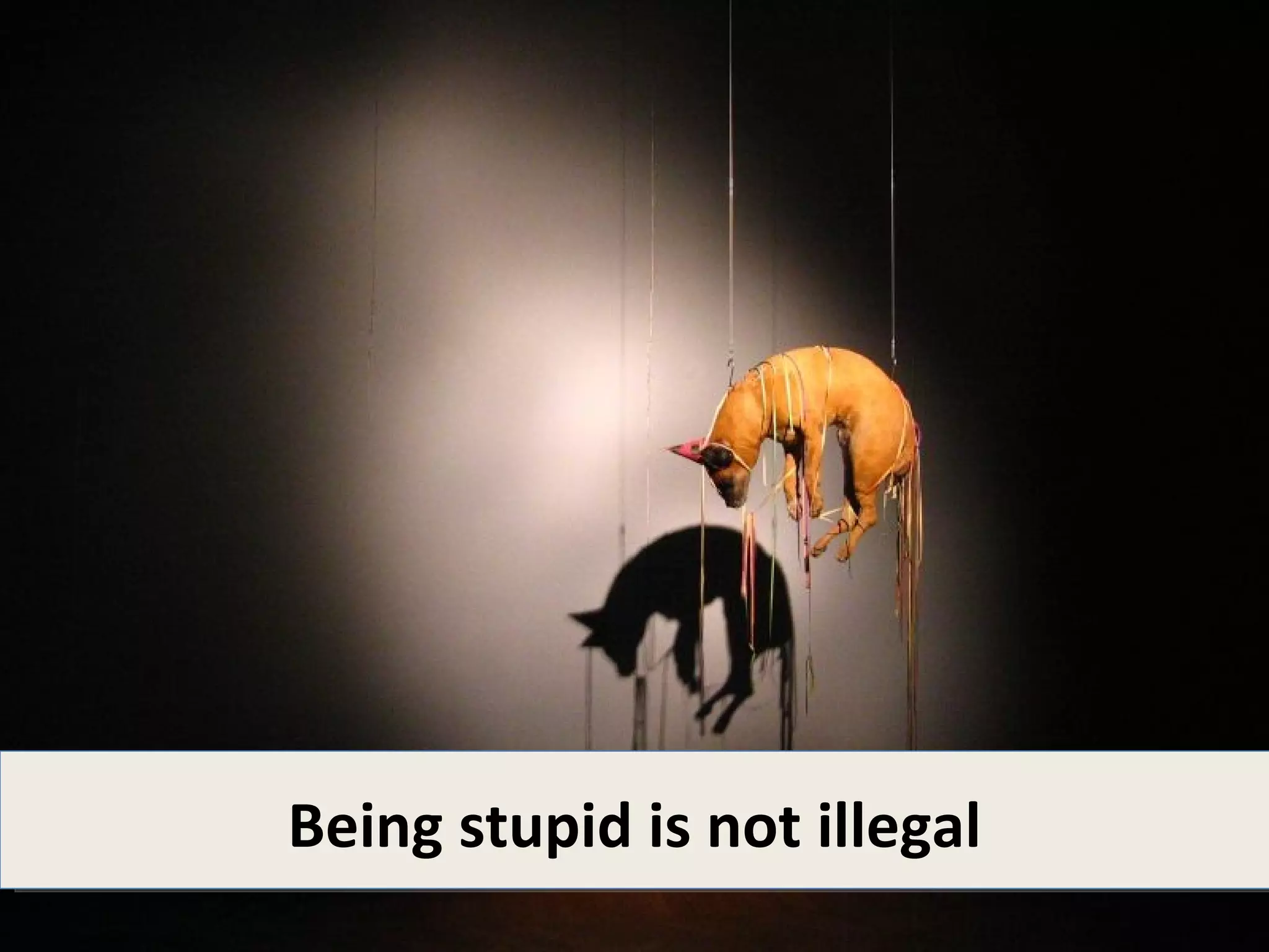 Being stupid is not illegal
 
