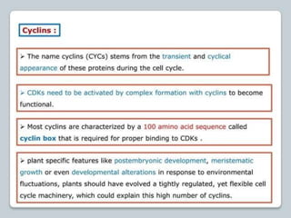regulation-of-cell-cycle-and-cell-division ppt.pptx