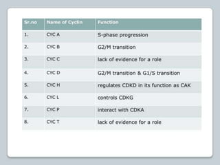 regulation-of-cell-cycle-and-cell-division ppt.pptx