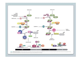 regulation-of-cell-cycle-and-cell-division ppt.pptx