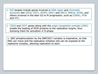regulation-of-cell-cycle-and-cell-division ppt.pptx